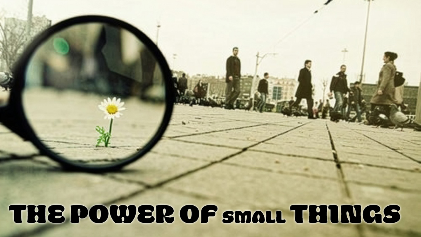 The Power of Small Things